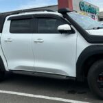 GWM P300 - 4PC GRAIN FINISH WINDSHIELDS