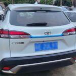 TOYOTA CROSS - BLUE TRIM REAR DOOR