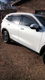 HAVAL H6 - 6 PC CHROME TRIM WINDSHIELDS - Image 4